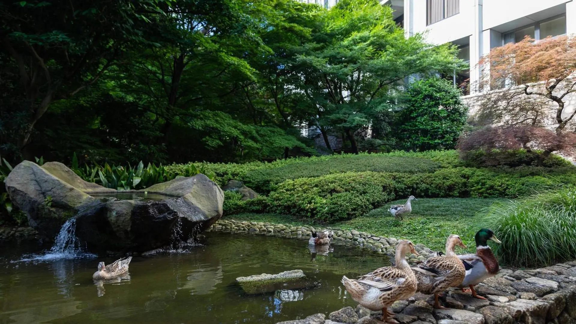 Sheraton Miyako Hotel Tokyo 5*,  Japan